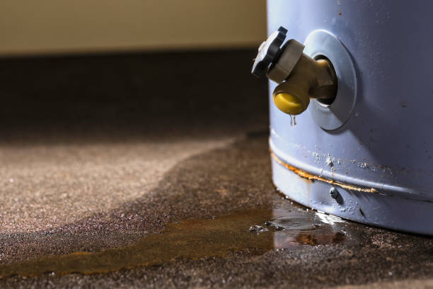 Best Basement water damage restoration  in Tahoma, CA