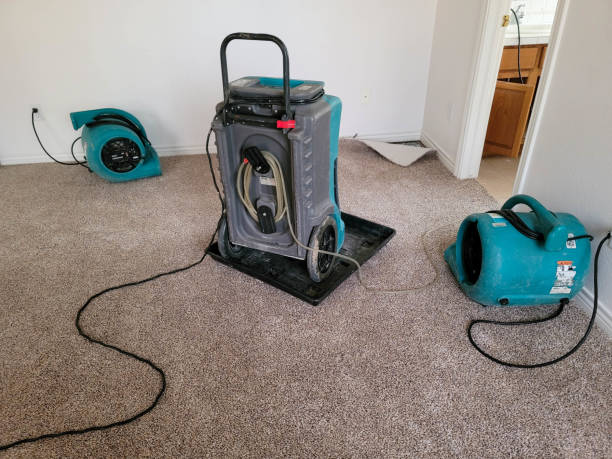 Water damage restoration process in Tahoma, CA