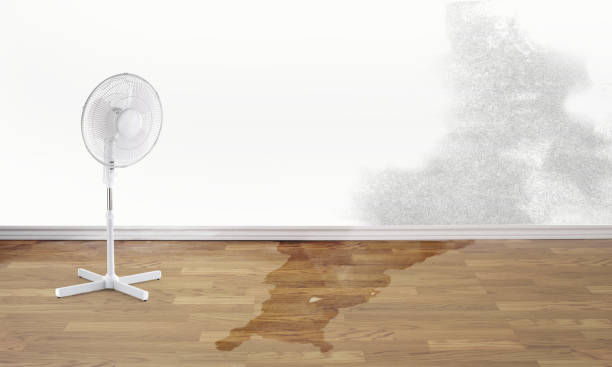 Best Carpet water damage restoration  in Tahoma, CA
