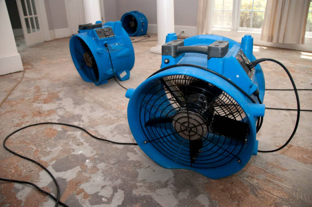  Tahoma, CA Water damage restoration Pros