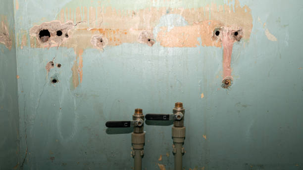 Best Water damage restoration near me  in Tahoma, CA