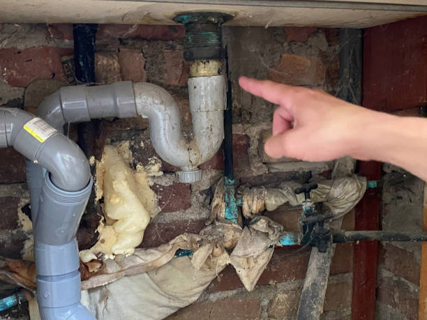 Best Water damage restoration process  in Tahoma, CA