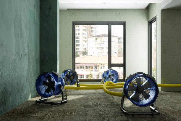 Water damage restoration process in Tahoma, CA